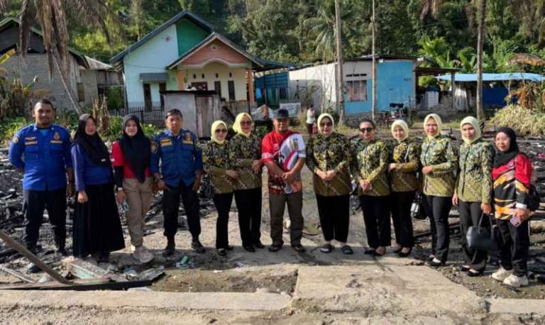 IMG_20260123_171219_copy_799x476