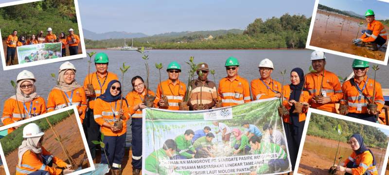 IMG-20260406-WA0002_copy_800x360